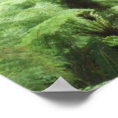 Poster Parc national de Tarra Bulga, Strzelecki Ranges (Coin)