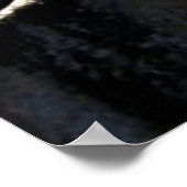 Poster Parc national de Yosemite (Coin)