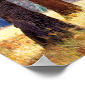 Poster Parc national de Yosemite (Coin)