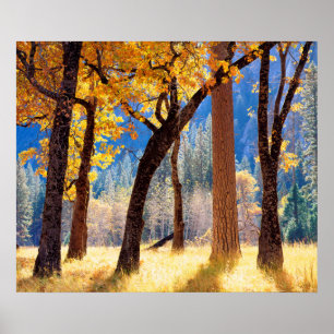 Poster Parc national de Yosemite