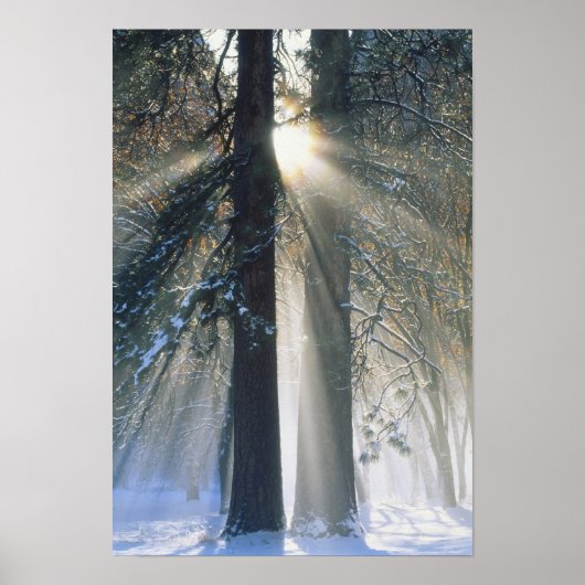 Poster Parc national de Yosemite - Diffusion des rayons d (Devant)