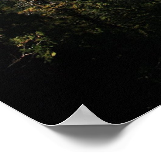 Poster Parc national de Yosemite, El Capitan (Coin)