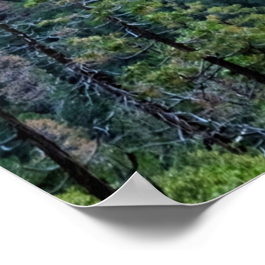 Poster Parc national de Yosemite, États-Unis (Coin)