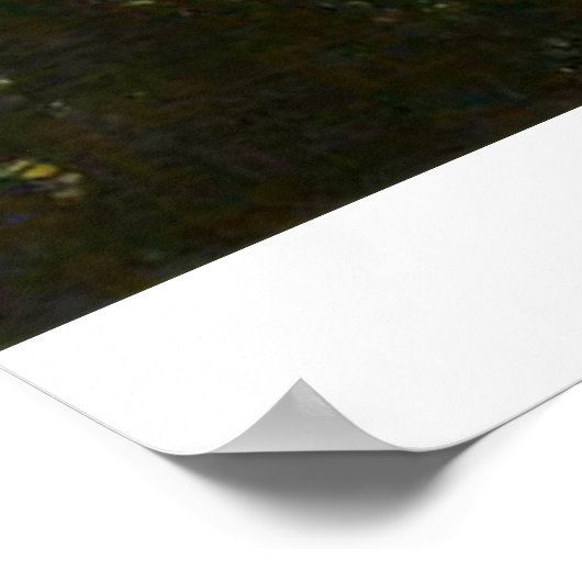 Poster Parc national de Yosemite Vue différente (Coin)