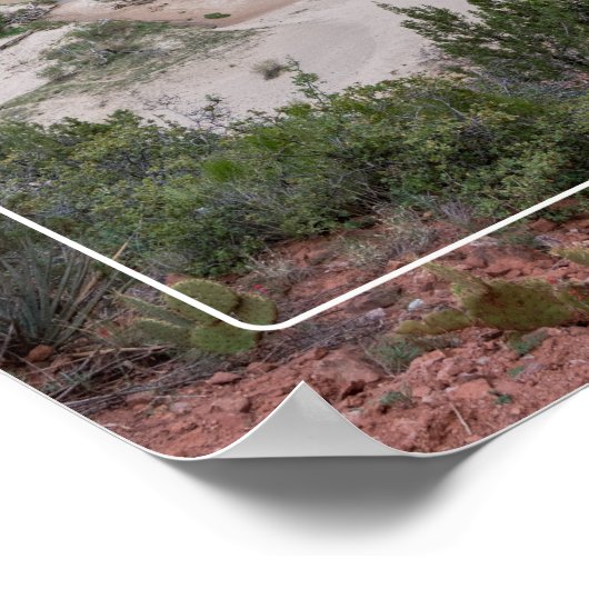 Poster Parc national de Zion (Coin)