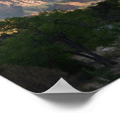 Poster Parc national de Zion (Coin)