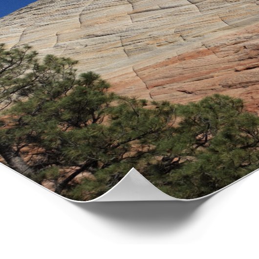 Poster Parc national de Zion (Coin)