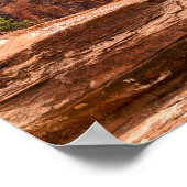 Poster Parc national de Zion - Utah (Coin)