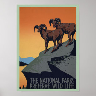 Poster Parc national des Chèvres de montagne vintages Rés