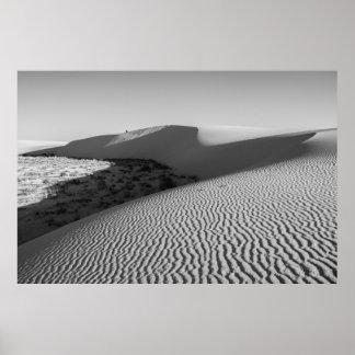 Poster Parc national des dunes de sable blanc