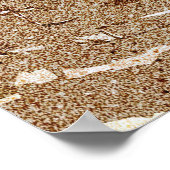 Poster Parc national des dunes d'Indiana (Coin)