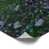 Poster Parc national des Glaciers (Coin)