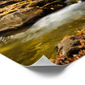 Poster Parc national des Great Smoky Mountains. Big Creek (Coin)