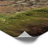 Poster Parc national des Hautes-Terres-du-Cap-Breton Cana (Coin)