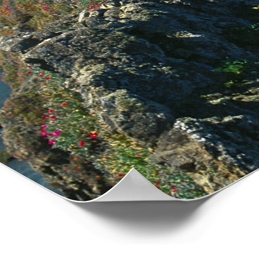 Poster Parc national des îles Channel, Sud (Coin)