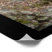 Poster Parc national des sources chaudes, AR - Chemins en (Coin)