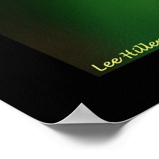 Poster Parc national des sources chaudes Fleurs de soleil (Coin)