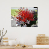 Poster Parc national des Volcans de Lehua (Cuisine)