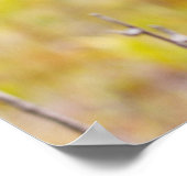 Poster Parc national des volcans d'orchidées tropicales d (Coin)