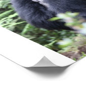 Poster Parc National des Volcans, Groupe Hirwa (Coin)