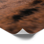 POSTER PARC NATIONAL D'ETOSHA (Coin)