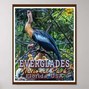 POSTER PARC NATIONAL D'EVERGLADES - FLORIDE ÉTATS-UNIS