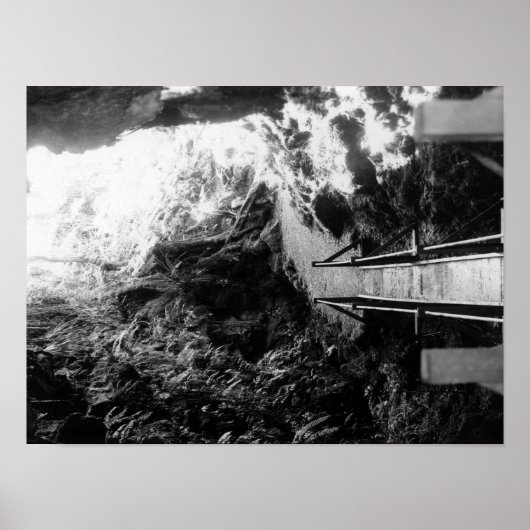 Poster Parc national d'Hawaii, Vue d'un tube de lave (Devant)