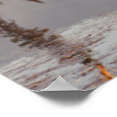 Poster Parc national du Canada, Alberta, Jasper (Coin)