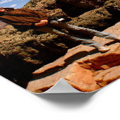 Poster Parc national du Grand Canyon (Coin)