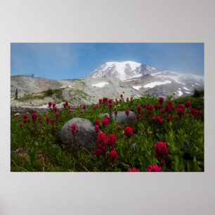 Poster Parc national du mont Rainier, Mont Rainier 1