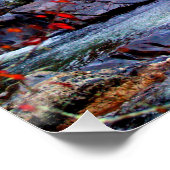 Poster Parc national Great Smoky (Coin)