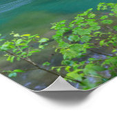 Poster Parc national olympique Washington State (Coin)