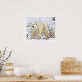 Poster Parc national Wapusk, Canada. (Cuisine)