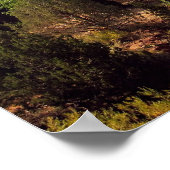 Poster : Parc national Zion, Utah (Coin)