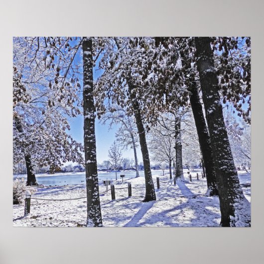 POSTER "PARC OLANDER DANS LA NEIGE" (Devant)