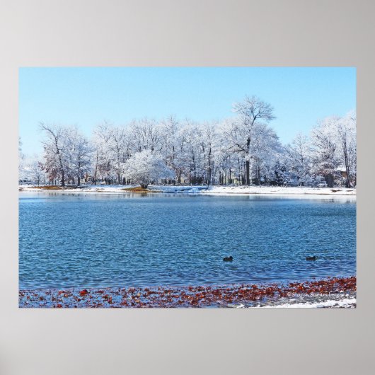 POSTER PARC OLANDER "HIVER BLANC" ET LAC/NEIGE COUVERT (Devant)