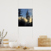 Poster Parc Stanley, bois, brouillard de couche marine qu (Cuisine)
