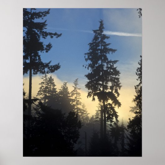 Poster Parc Stanley, bois, brouillard de couche marine qu (Devant)