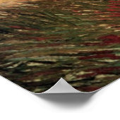 Poster Parc Voyer d'Argenson Asnieres par Vincent van Gog (Coin)