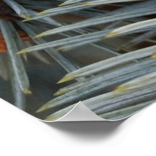 Poster parcelle de neige (Coin)