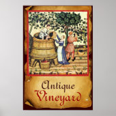 POSTER PARCHEMENT DE RÉCOLTE DE VIGNOBLES ANCIENS (Devant)