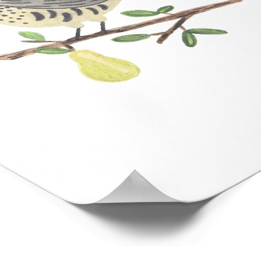 Poster Parchemin dans un arbre à poires Imprimer (Coin)