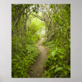 Poster Parcours à travers la forêt (Devant)