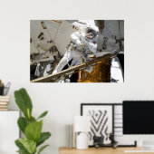 Poster Parcours (STS-133) (Bureau à domicile)