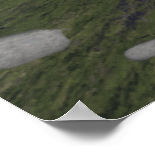 Poster Pardonné (Coin)