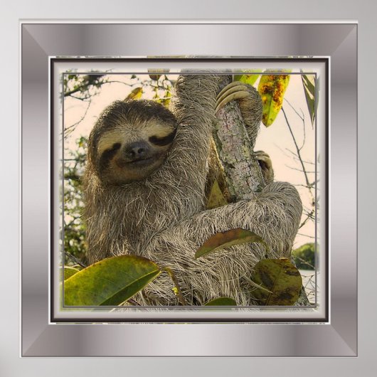 Poster paresseux (Devant)