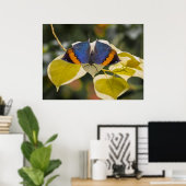 Poster Paresseux (Bureau à domicile)
