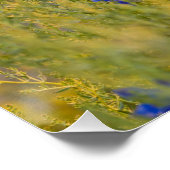 Poster parfait de la Bible aux colibris (Coin)