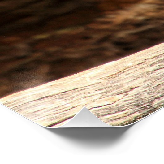 Poster parfait de Young Eagle (Coin)