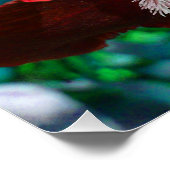 Poster parfait Fleur Rouge Iris (Coin)